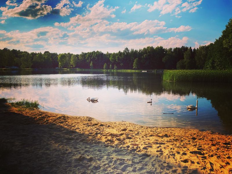 Cover Image Lonesome Lake Festival