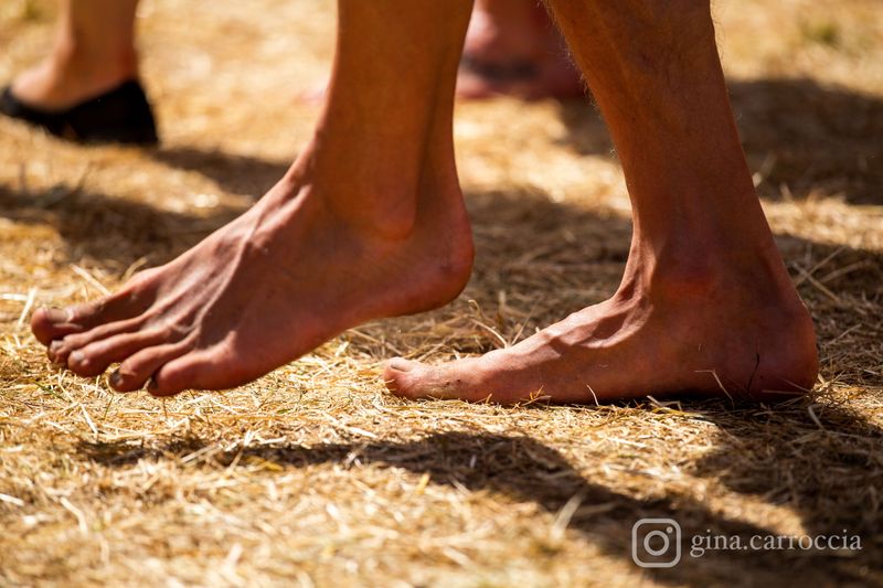 Foto von Wudzdog Open Air