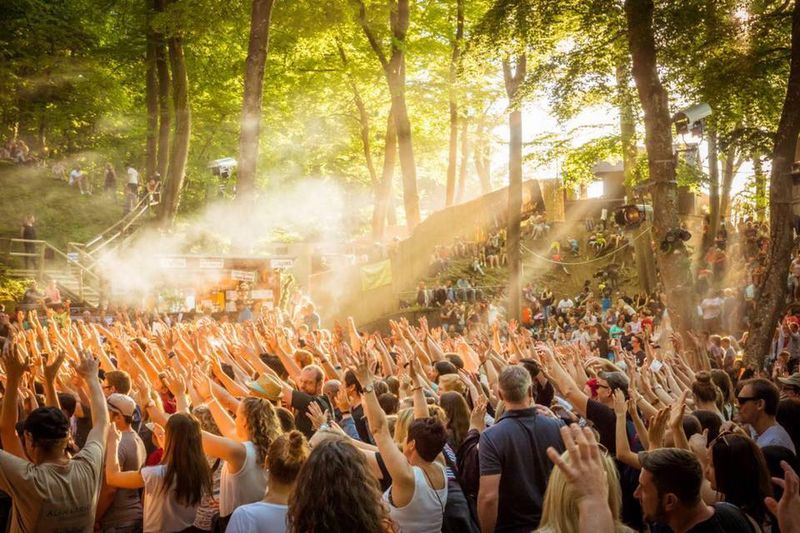 Featured Image for WaldLicht Festival
