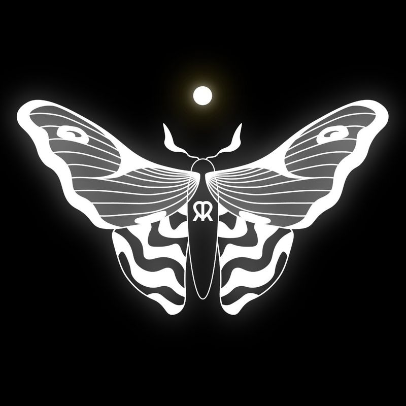 Logo MSNT