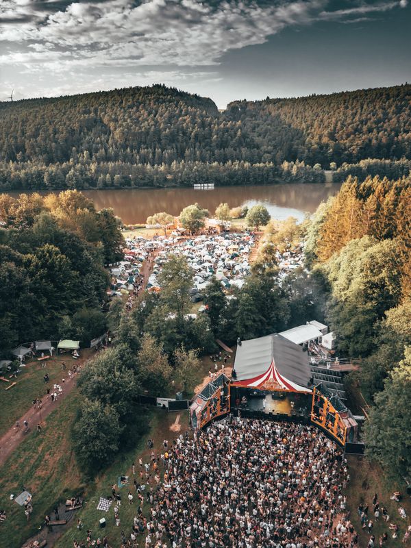Foto von Sound of the Forest