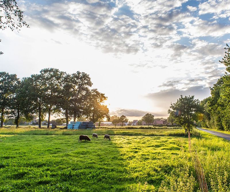 Foto von Krach am Bach