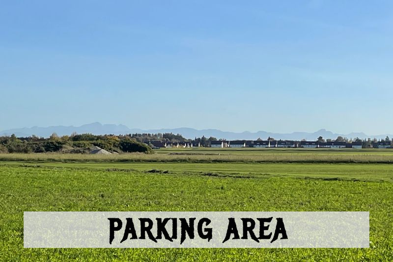 Foto von Forest Metal Open Air Festival