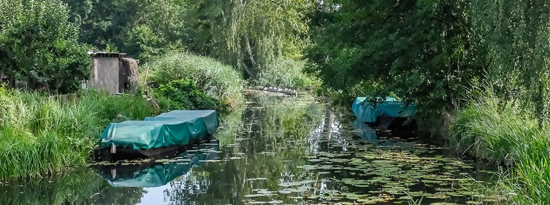 Cover Image für jazzwerkstatt Peitz