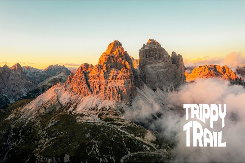Cover Image für TRIPPY TRAIL Running Expedition