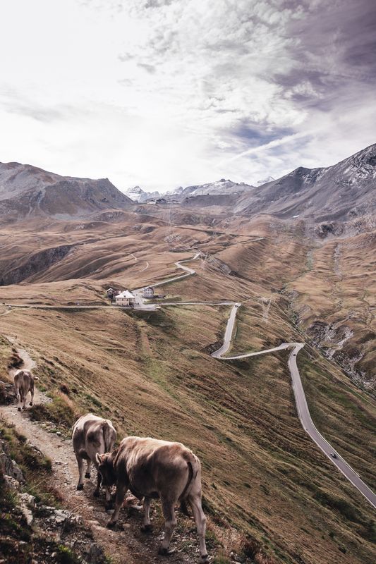 Foto von SNEAK PEAKS