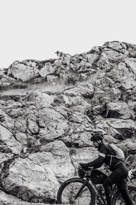 Foto von SNEAK PEAKS