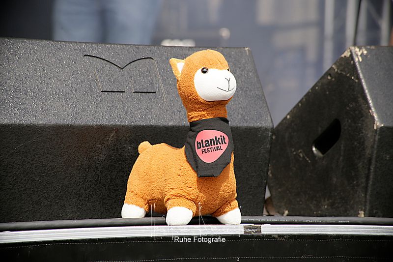 Foto von blankit FESTIVAL