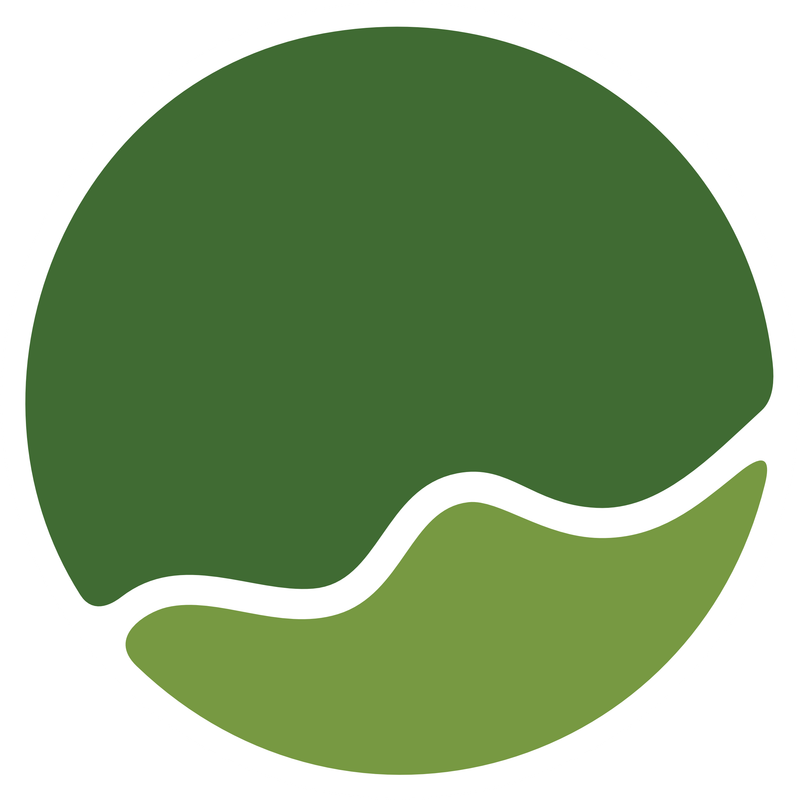 Logo Campusfest Regensburg